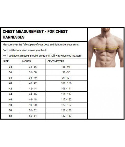 Men’s Real Leather Chest Harness / Male Harness With Buckles 01